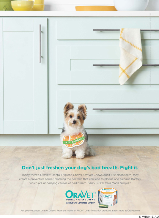 Advertising_OraVet_2